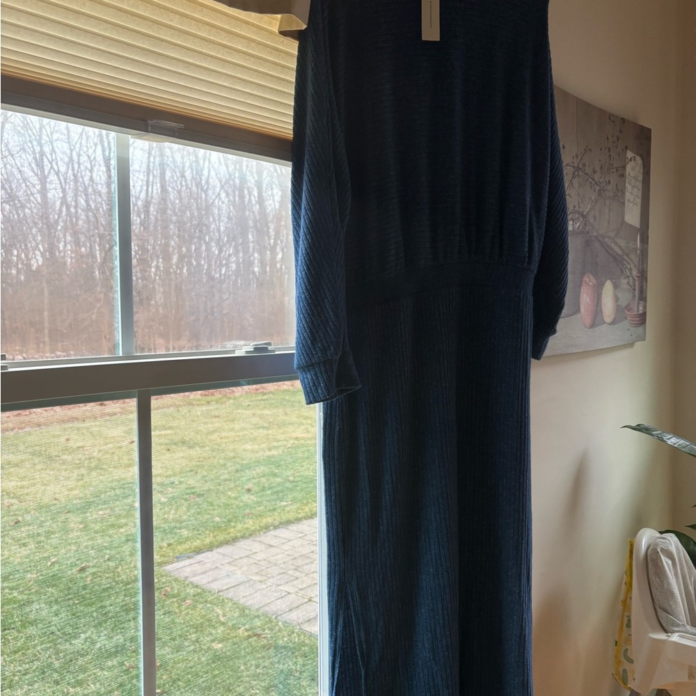Anthropologie Long Sleeve Blue Dress